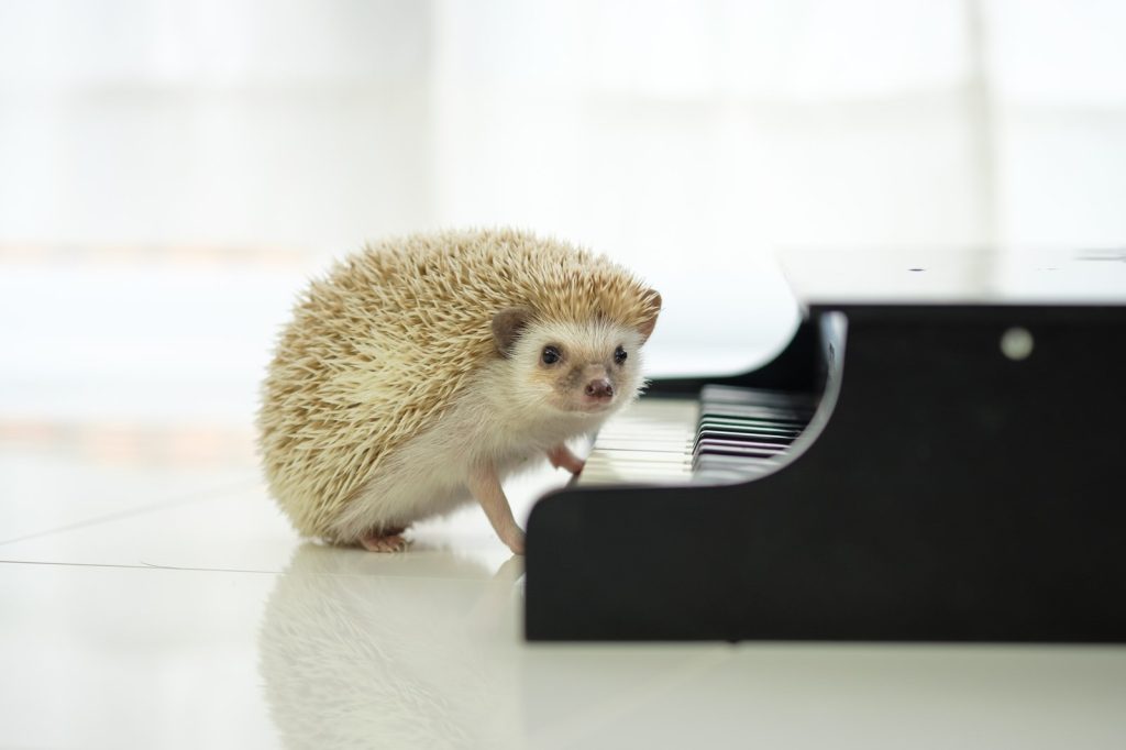 I can play the piano.